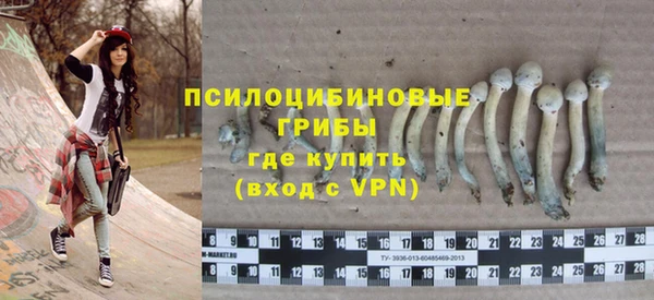 MDMA Кодинск