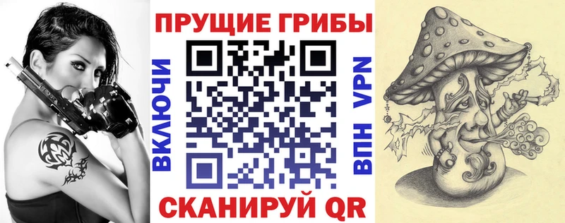 Галлюциногенные грибы Cubensis  Купить где  Баксан 